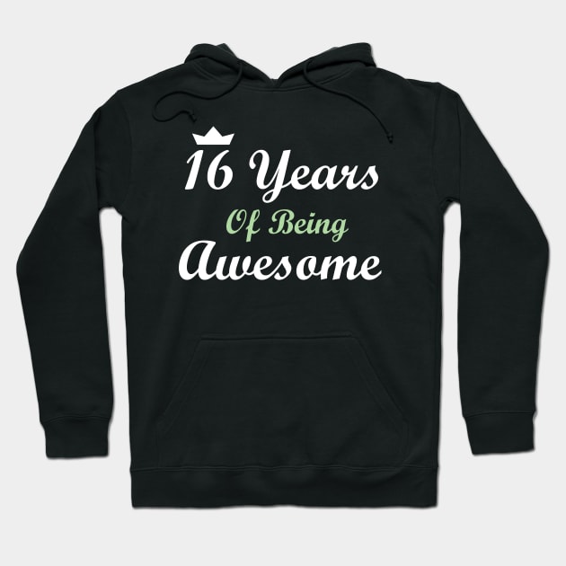 16 Years Of Being Awesome Hoodie by FircKin